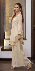 Royal Festive Look with Elegant Handwork & Designer Finish